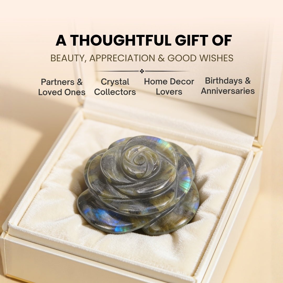 Polished Labradorite flower stone resting in open hand demonstrating tactile size and palm stone comfort