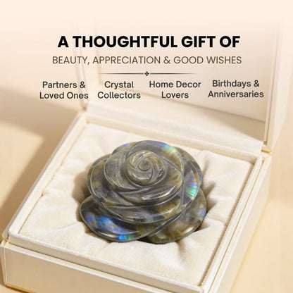 Polished Labradorite flower stone resting in open hand demonstrating tactile size and palm stone comfort