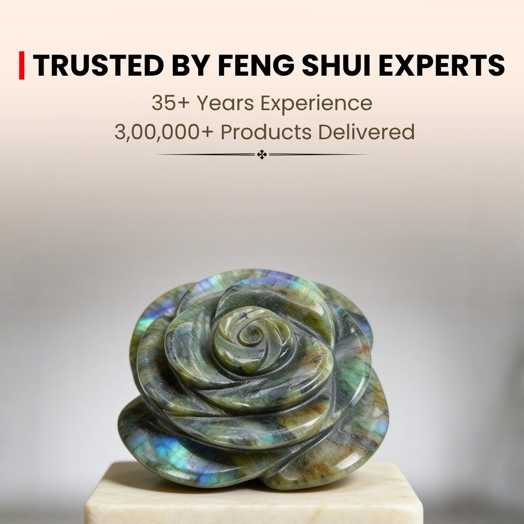 Labradorite flower stone infographic highlighting Third Eye activation, psychic protection, and aura shielding