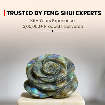 Labradorite flower stone infographic highlighting Third Eye activation, psychic protection, and aura shielding