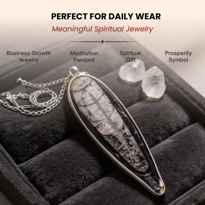 Orthoceras Fossil Kuber Stone Finance Pendant - plusvalueindia