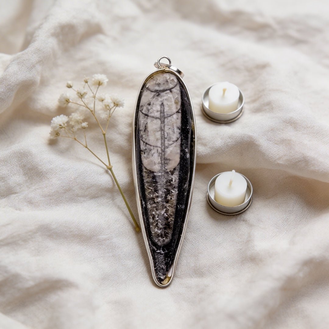 Orthoceras Fossil Kuber Stone Finance Pendant - plusvalueindia