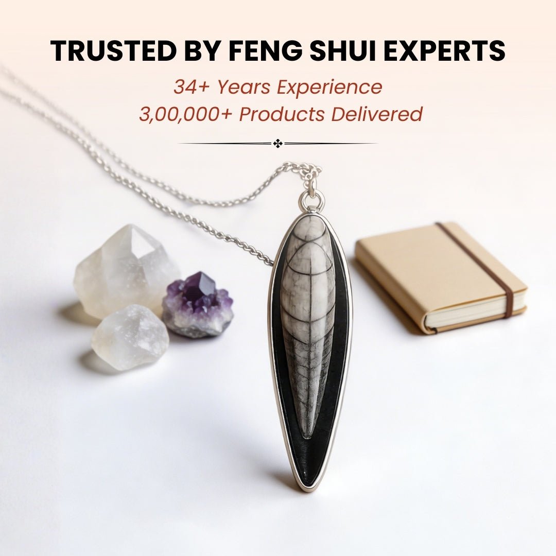 Orthoceras Fossil Kuber Stone Finance Pendant - plusvalueindia