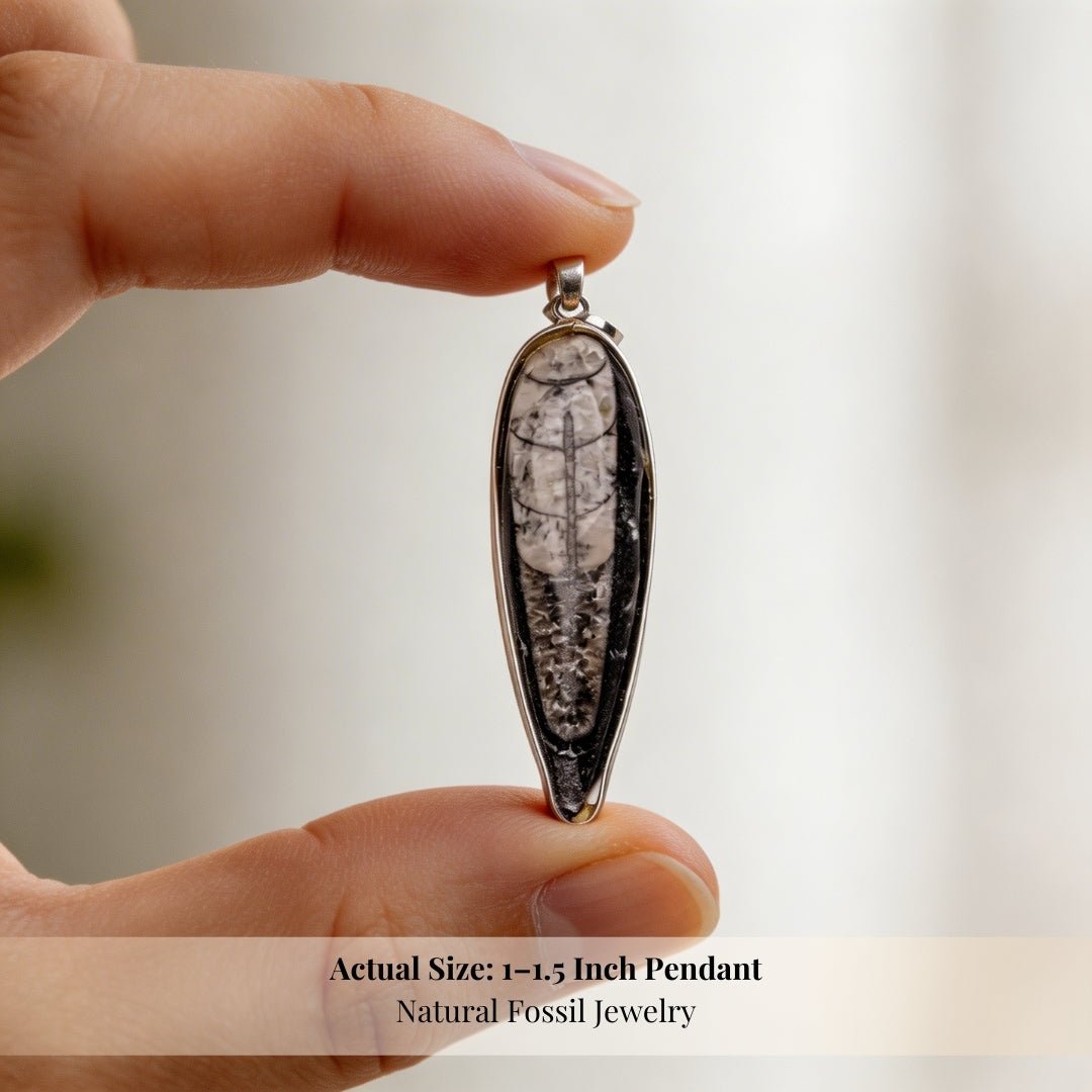 Orthoceras Fossil Kuber Stone Finance Pendant - plusvalueindia