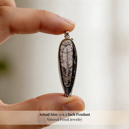 Orthoceras Fossil Kuber Stone Finance Pendant - plusvalueindia