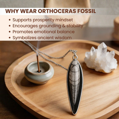 Orthoceras Fossil Kuber Stone Finance Pendant - plusvalueindia