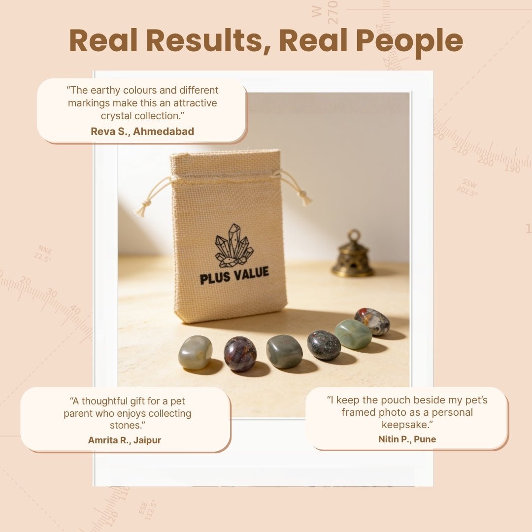 Pet Health crystal healing set displayed beside an informative usage guide card and gift-ready packaging