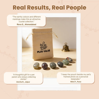 Pet Health crystal healing set displayed beside an informative usage guide card and gift-ready packaging