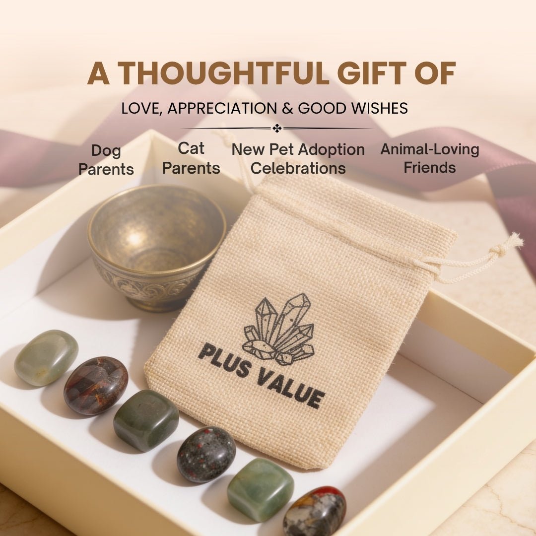 Pet Health healing crystal bag placed near a dog or cat bed to support post-surgery recovery, calm, and vitality
