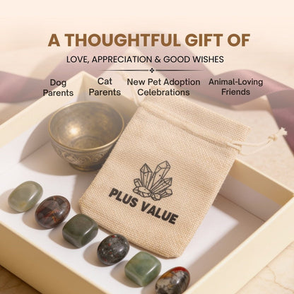 Pet Health healing crystal bag placed near a dog or cat bed to support post-surgery recovery, calm, and vitality