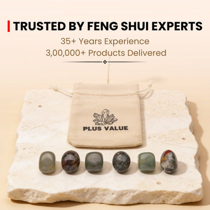 Pet Health crystal set infographic highlighting physical vitality, stress relief, immune support, and energetic shielding