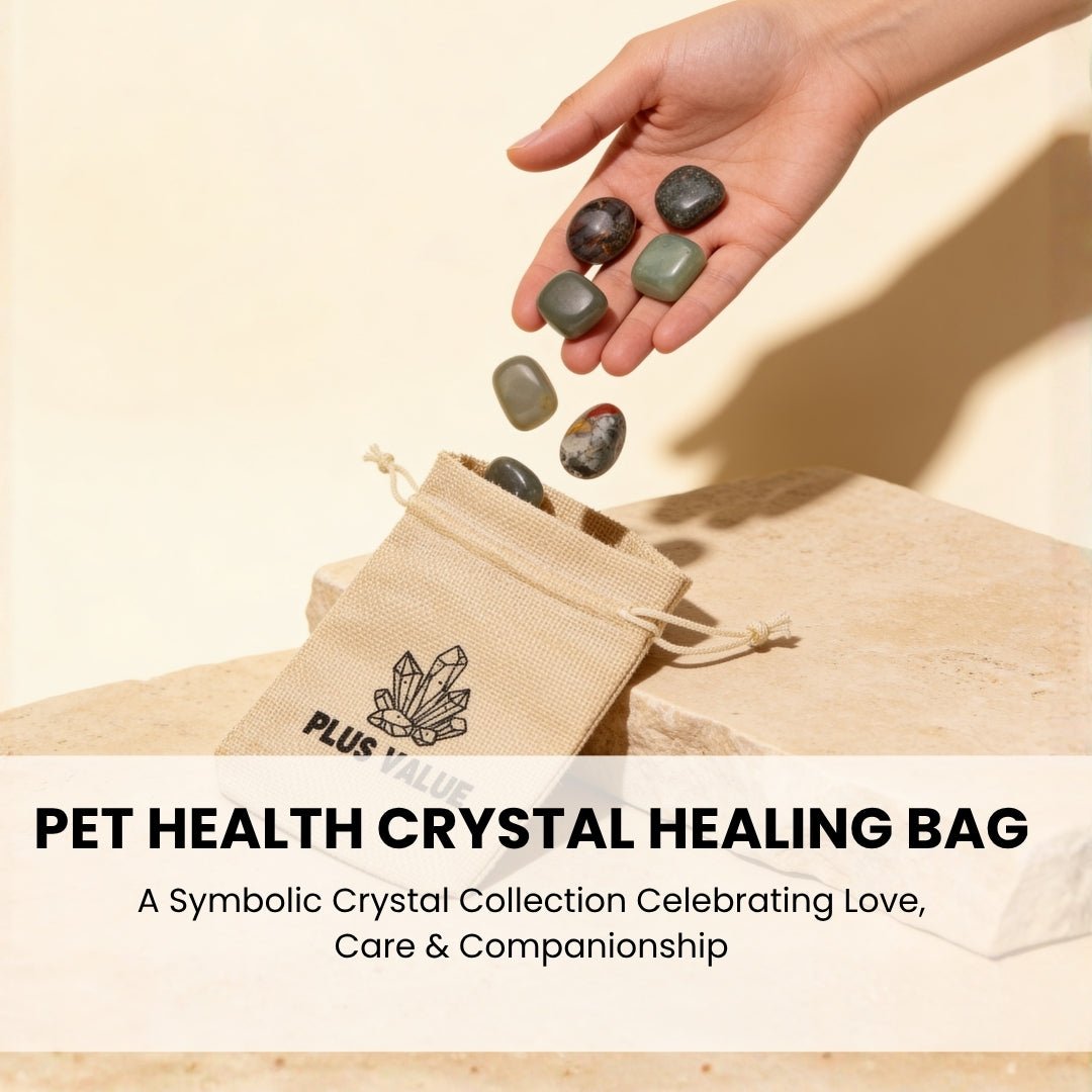 Set of smooth polished animal wellness stones resting in open palm demonstrating tactile size and smooth polish