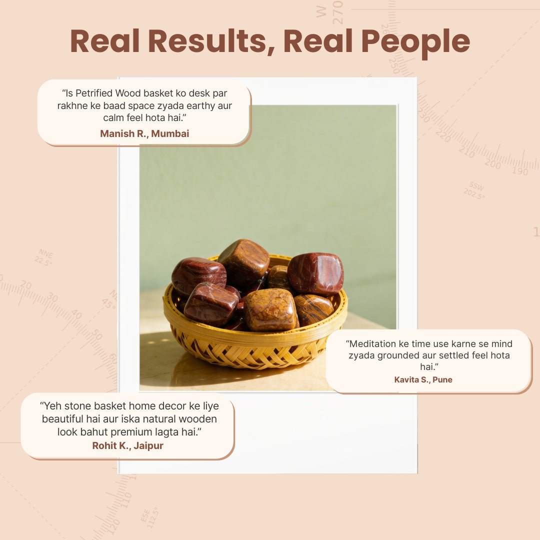Petrified Wood Tumbled Stone Pebbles - plusvalueindia