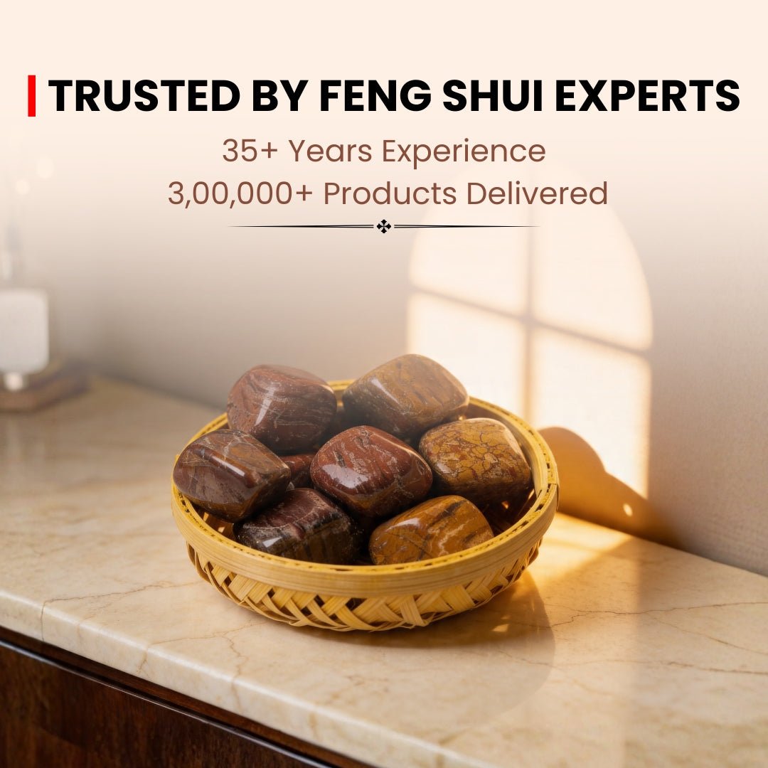 Petrified Wood Tumbled Stone Pebbles - plusvalueindia