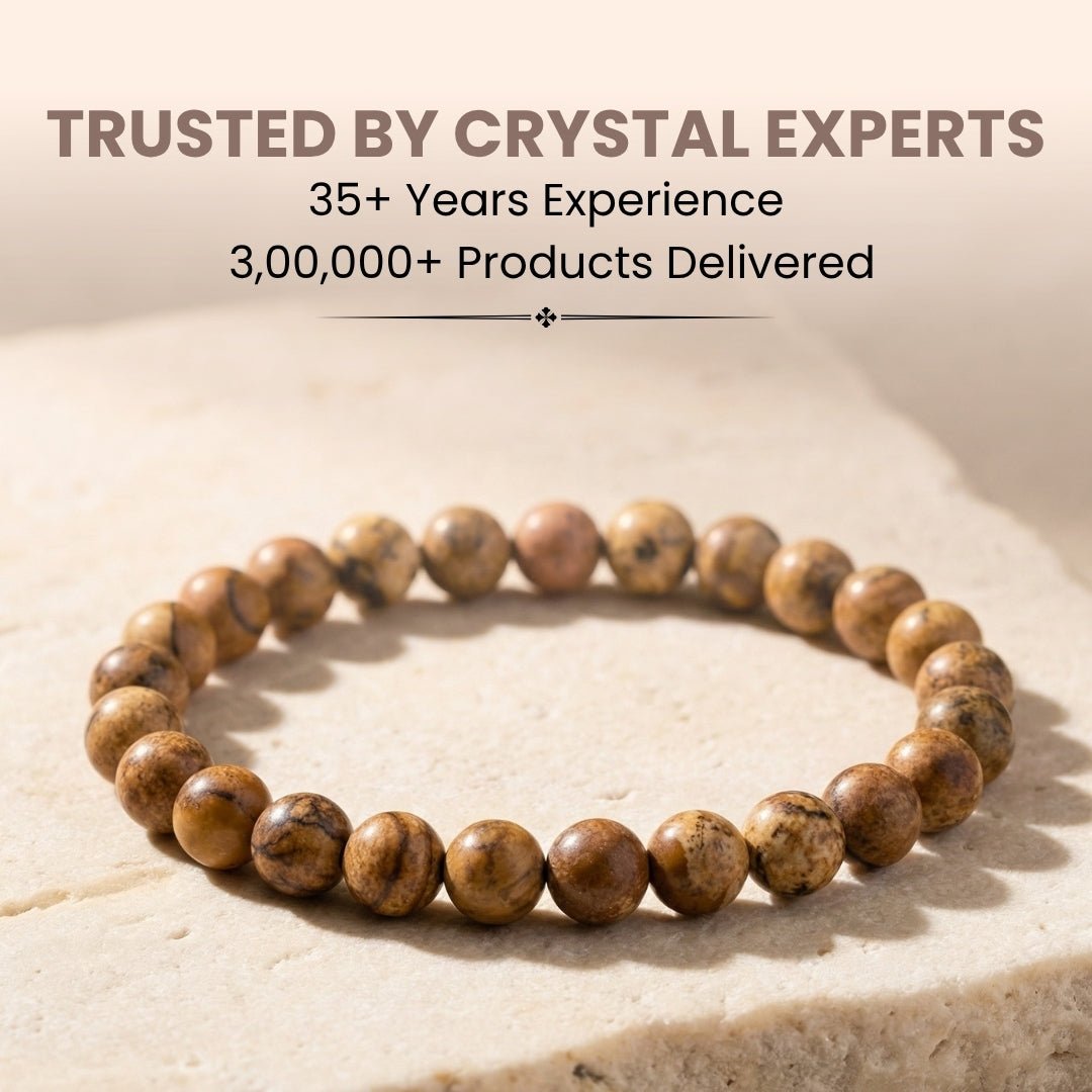 Picture Jasper Bracelet - plusvalueindia