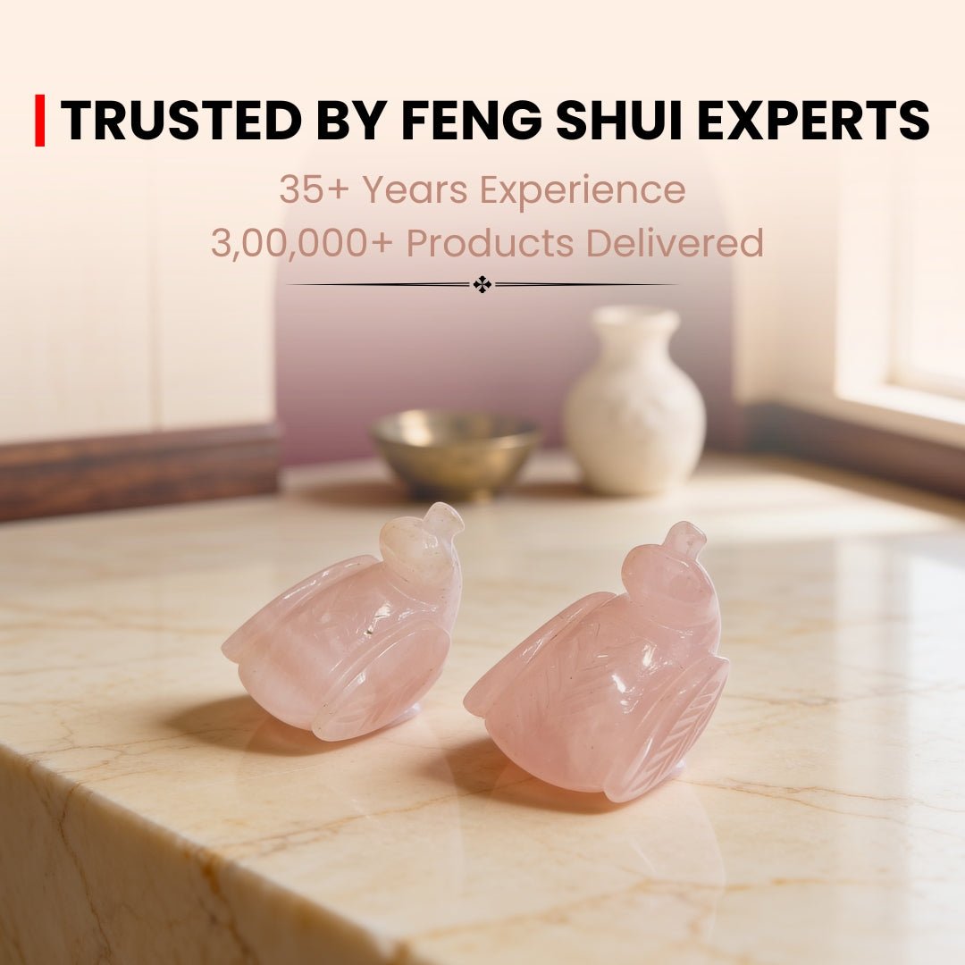 Pink Mandarin Natural Rose Quartz Duck Crystal Love Birds for Couples - plusvalueindia