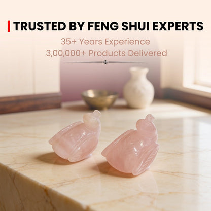 Pink Mandarin Natural Rose Quartz Duck Crystal Love Birds for Couples - plusvalueindia
