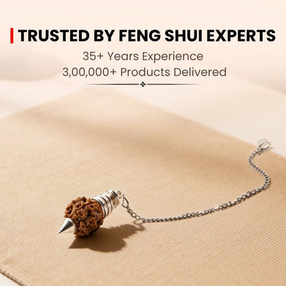 Rudraksha Dowsing Pendulum With Free 4 Dowsing Charts & Jute Bag - plusvalueindia