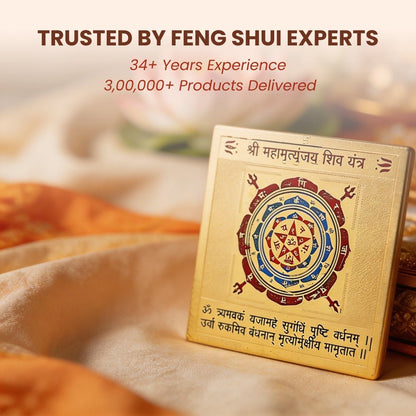 Shri Mahamrityunjaya Vastu Yantra [ Size 3 x 3 Inches, Multi Colour ] - plusvalueindia