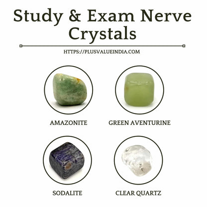 Study & Exam Nerve Crystal Bag