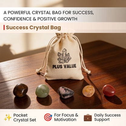 five natural tumbled crystals arranged beside the storage bag