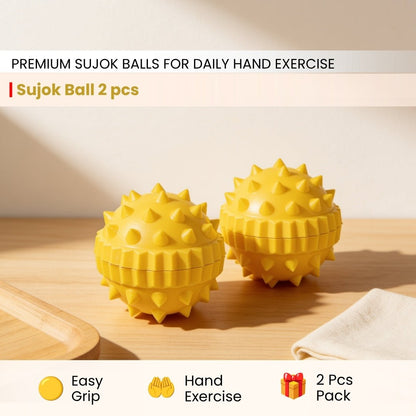 Sujok Ball Sphere 2 pcs - plusvalueindia