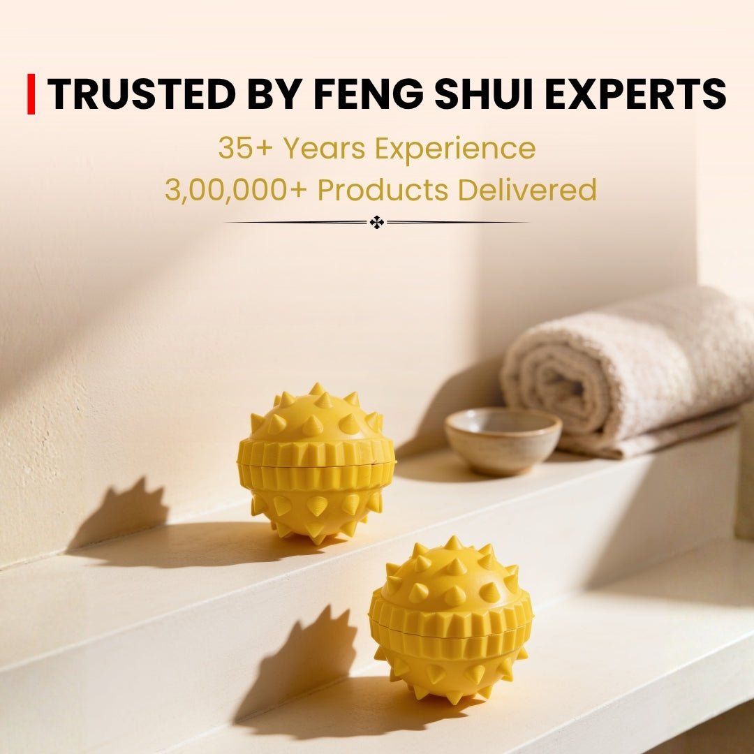 Sujok Ball Sphere 2 pcs - plusvalueindia