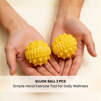 Sujok Ball Sphere 2 pcs - plusvalueindia