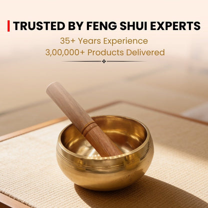 Brass Tibetan Singing Bowl Space Purification Reiki Sound Healing - plusvalueindia