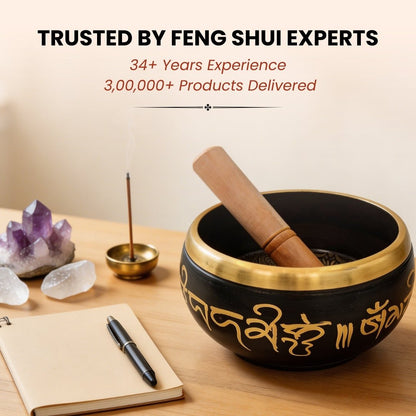 Tibetan Singing Bowl Space Purification Reiki Sound Healing - plusvalueindia