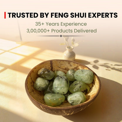 prehnite coconut bowl on a dry surface in a south-east corner