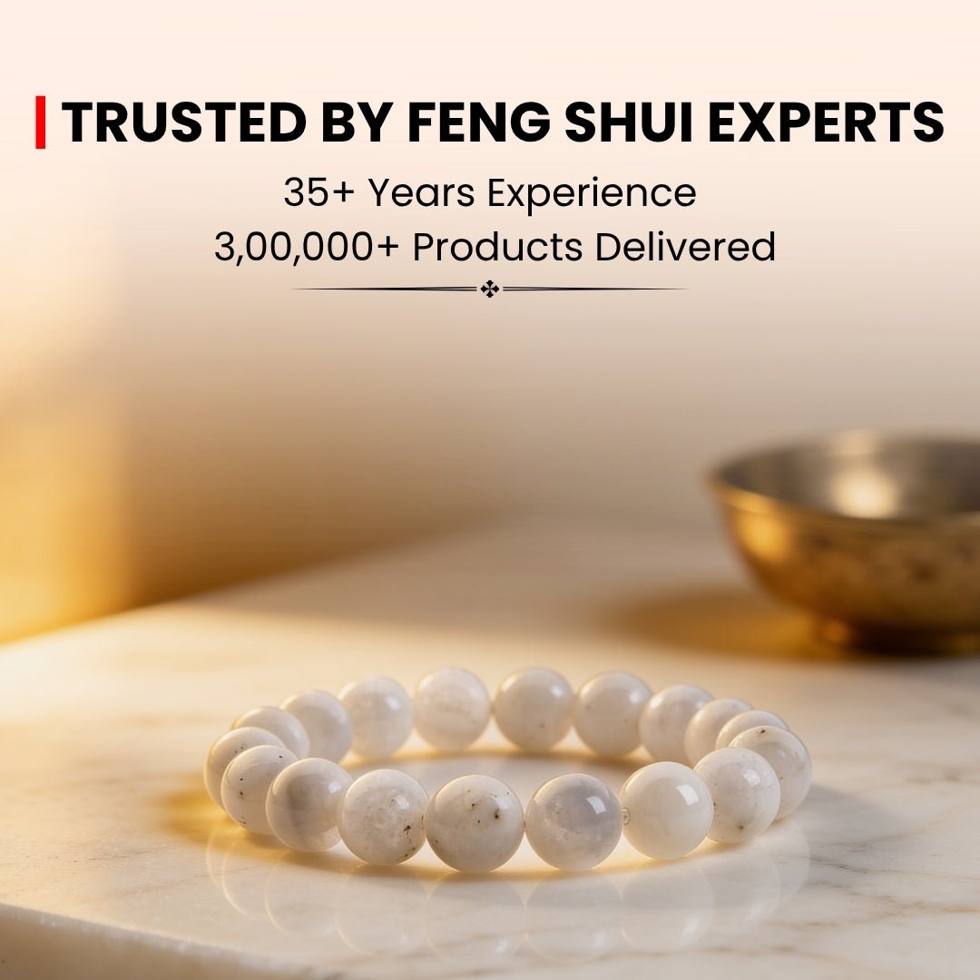 White Rainbow Moonstone Bracelet - plusvalueindia
