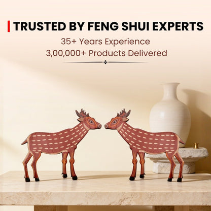 Vastu Shastra infographic highlighting deer pair placement in West or North-West zone to boost agility, speed, and endurance