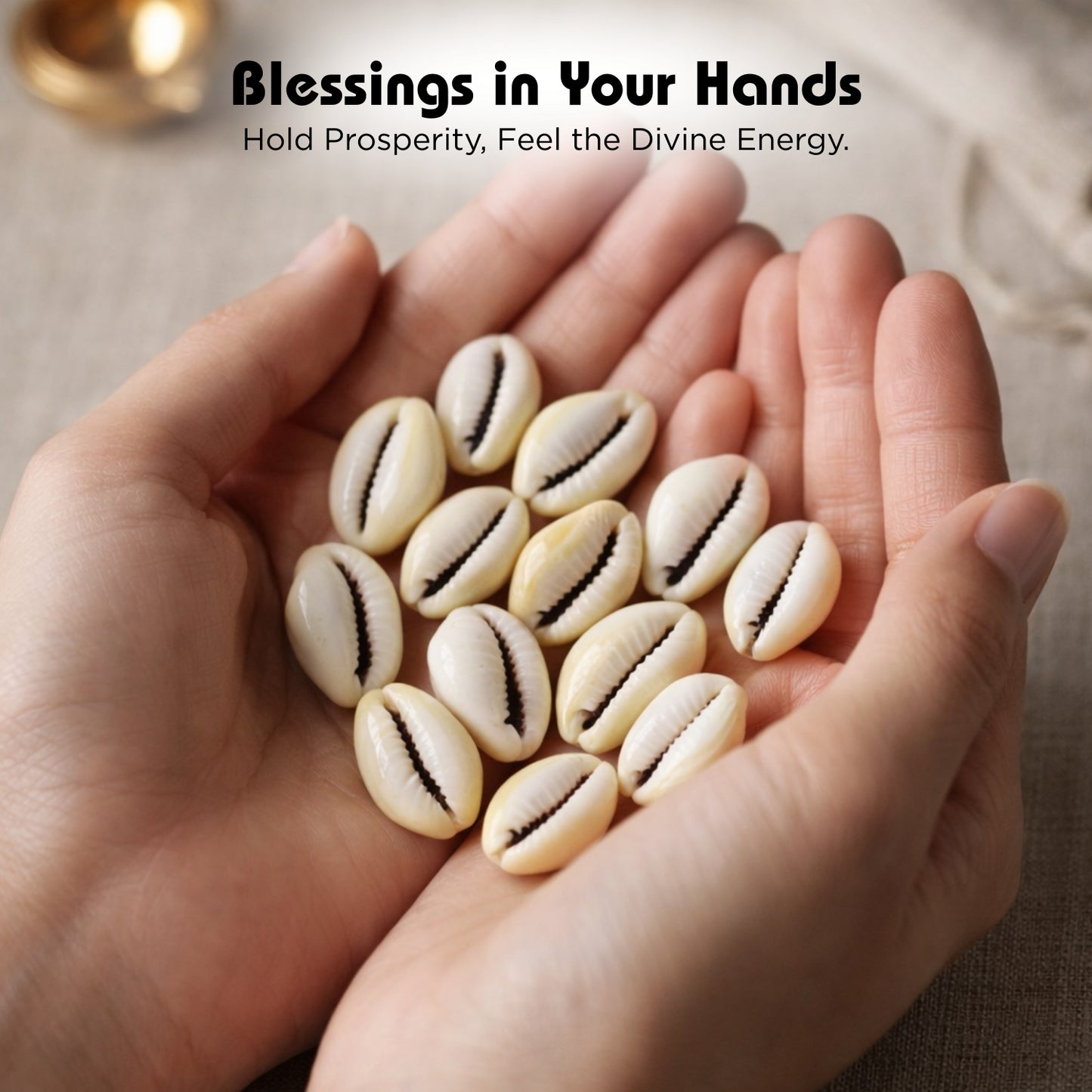 Lakshami Kaudi - Yellow Kaudi Peeli Cowrie Vastu Shastra Remedies for Daily Pooja - plusvalueindia