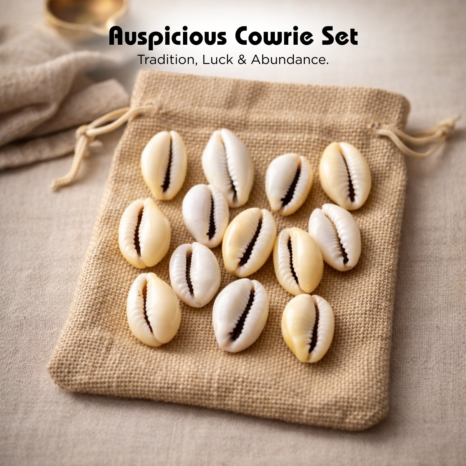 Lakshami Kaudi - Yellow Kaudi Peeli Cowrie Vastu Shastra Remedies for Daily Pooja - plusvalueindia