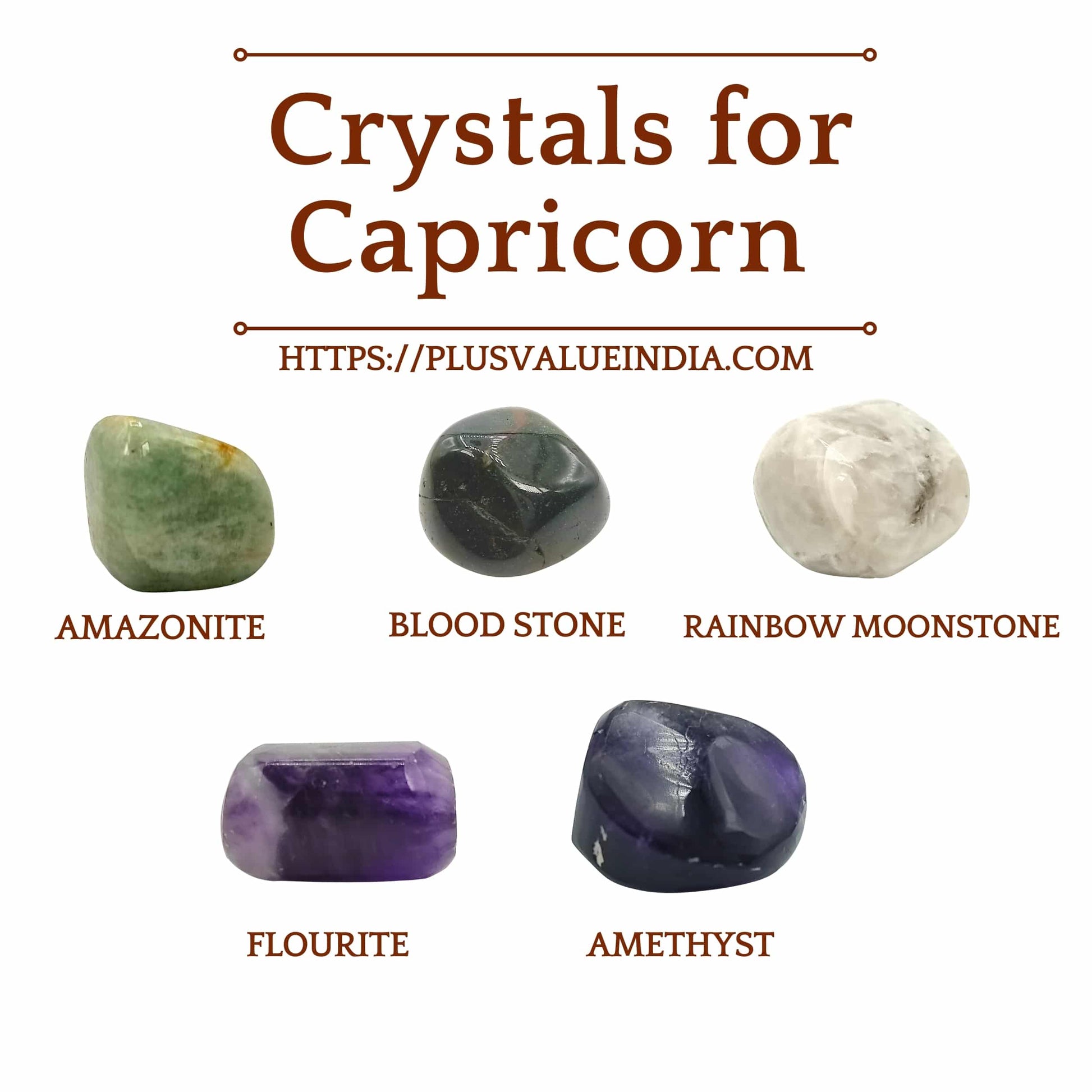 Zodiac Crystal Bag – Capricorn
